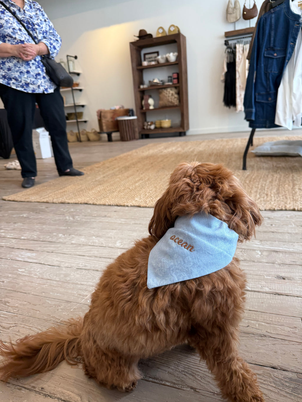 Baby Blue Embroidered Dog Scarf