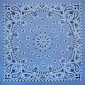 Chambray Paisley Embroidered Bandana