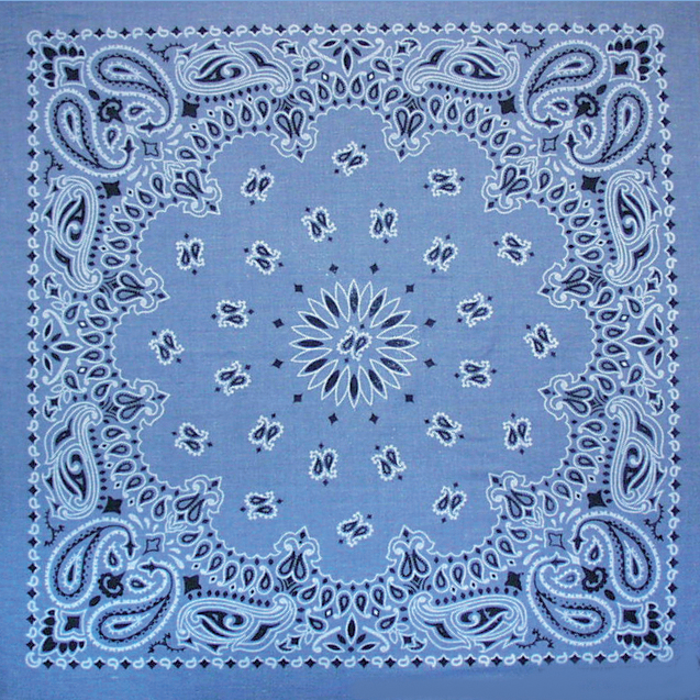 Chambray Paisley Embroidered Bandana