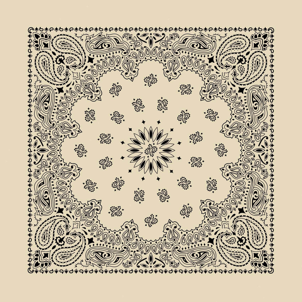 Natural Paisley Embroidered Bandana