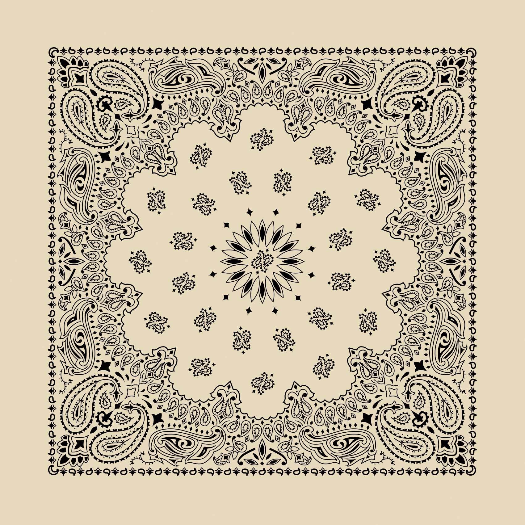 Natural Paisley Embroidered Bandana