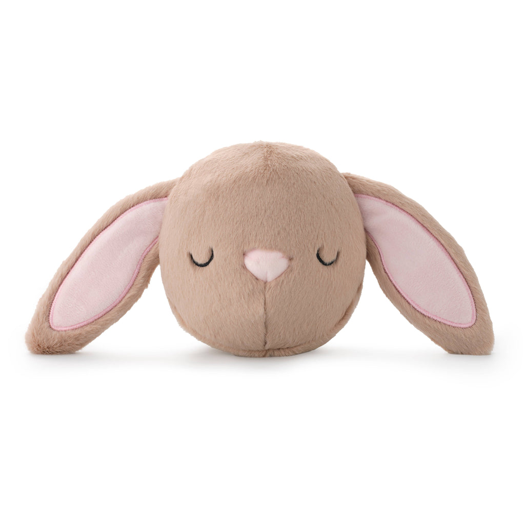 Bunny Bounce Dog Toy