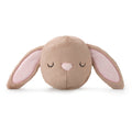 Bunny Bounce Dog Toy