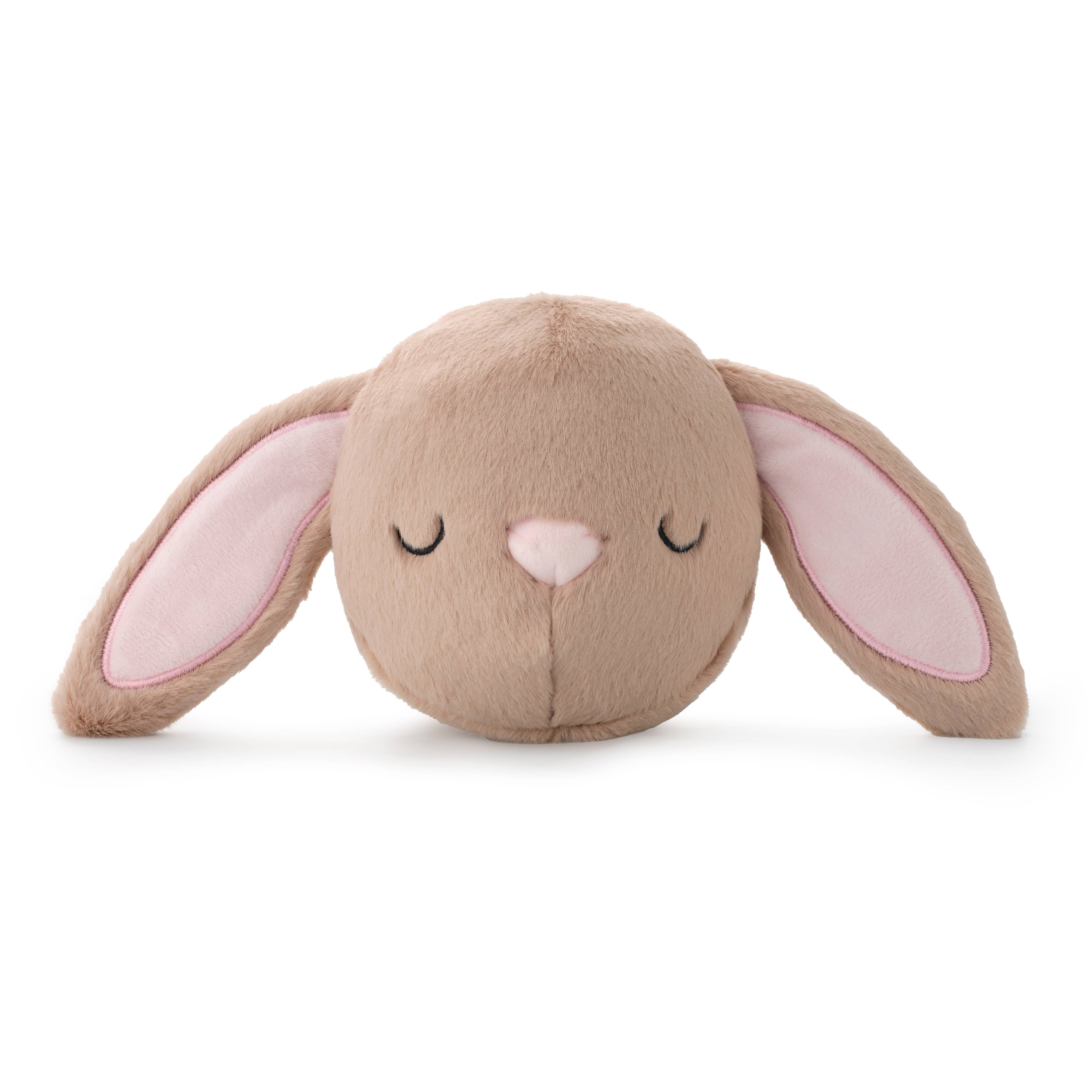 Bunny Bounce Dog Toy