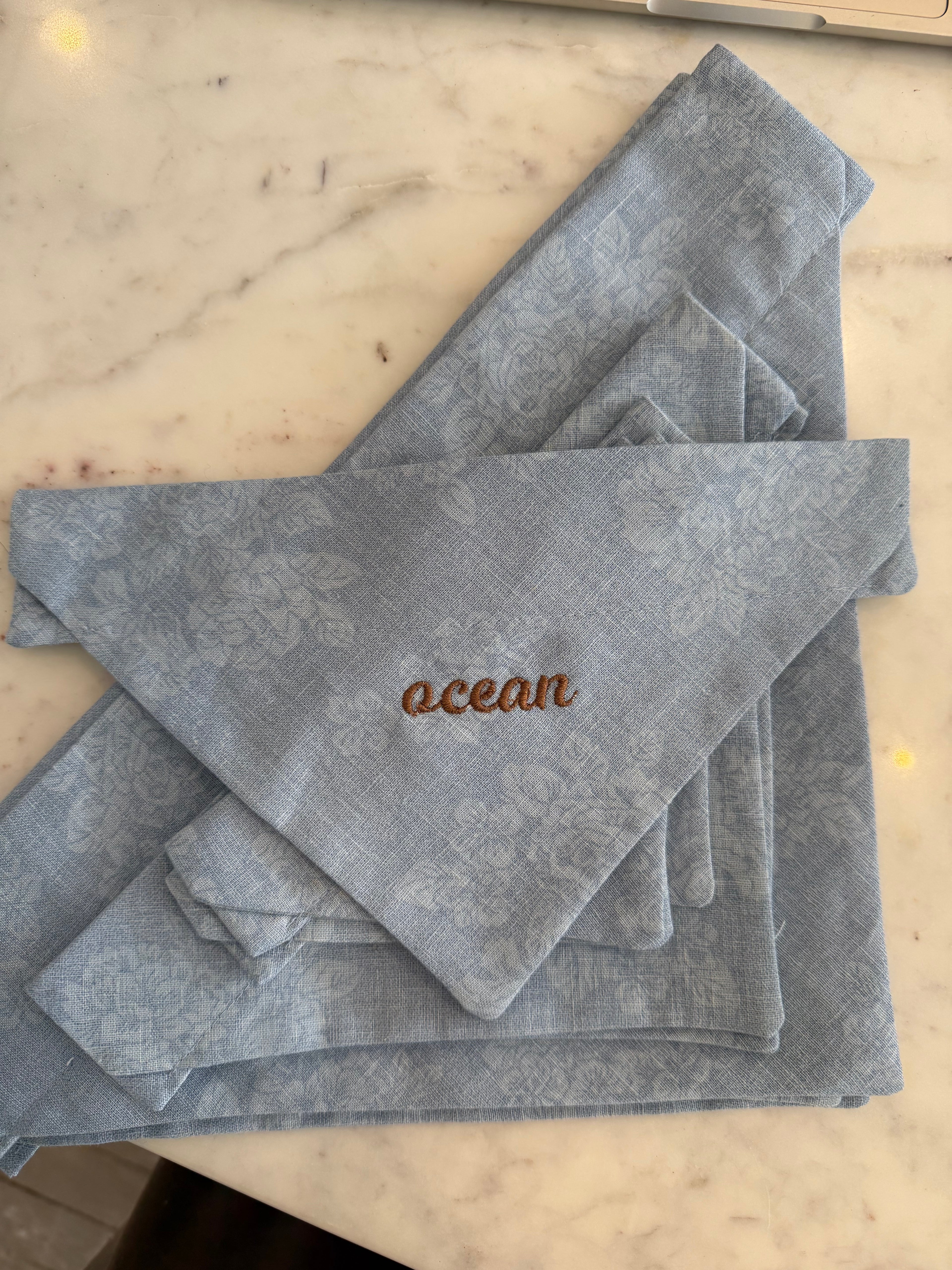 Baby Blue Embroidered Dog Scarf