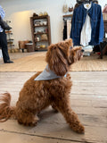 Baby Blue Embroidered Dog Scarf