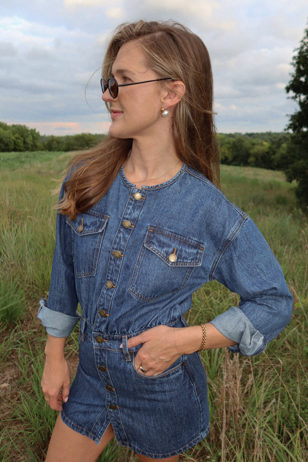 The Everly Denim Dress