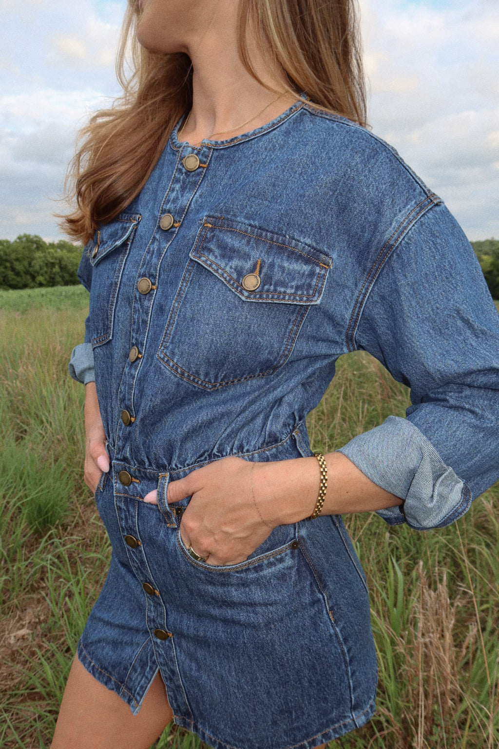 The Everly Denim Dress