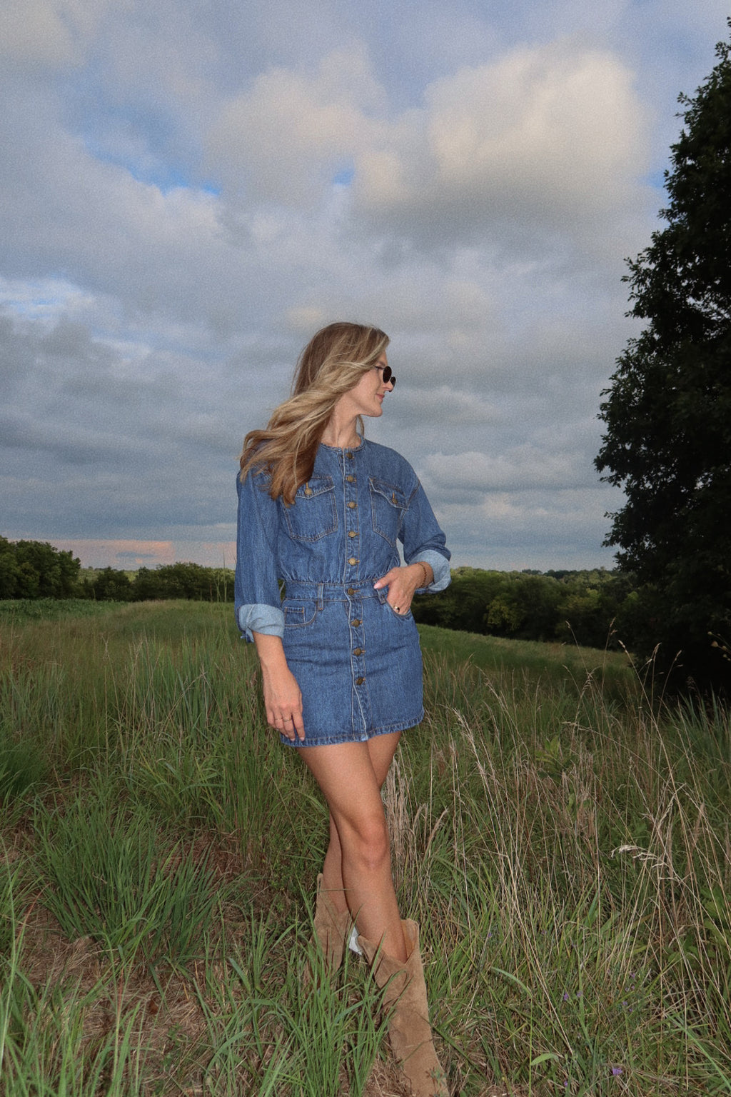 The Everly Denim Dress
