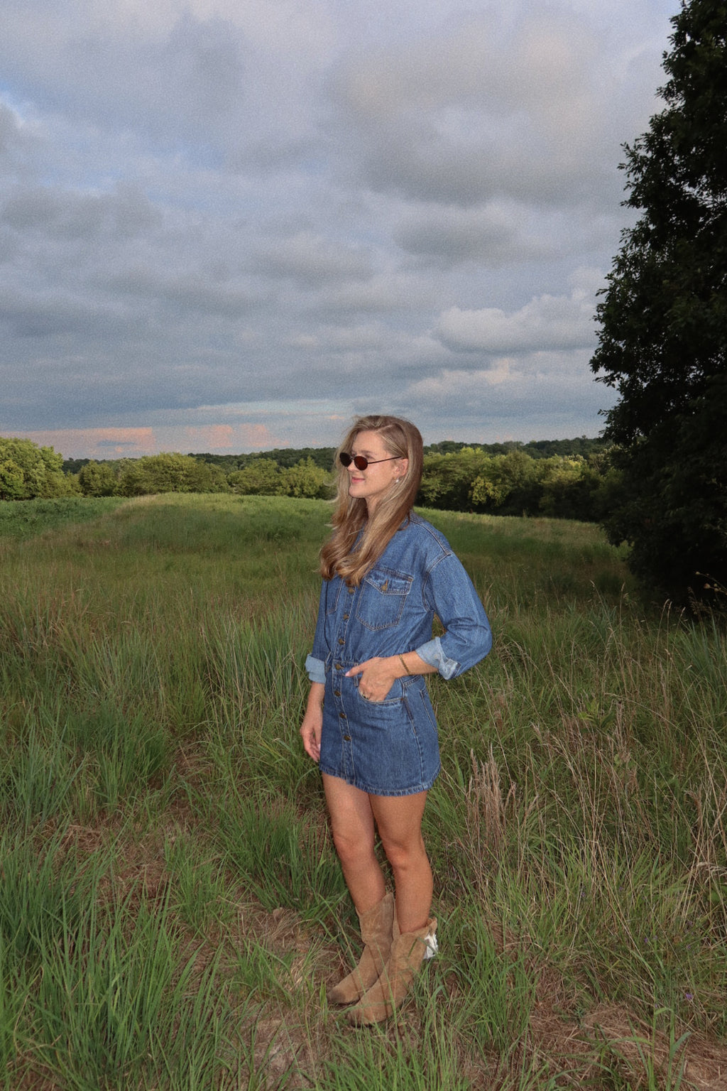 The Everly Denim Dress