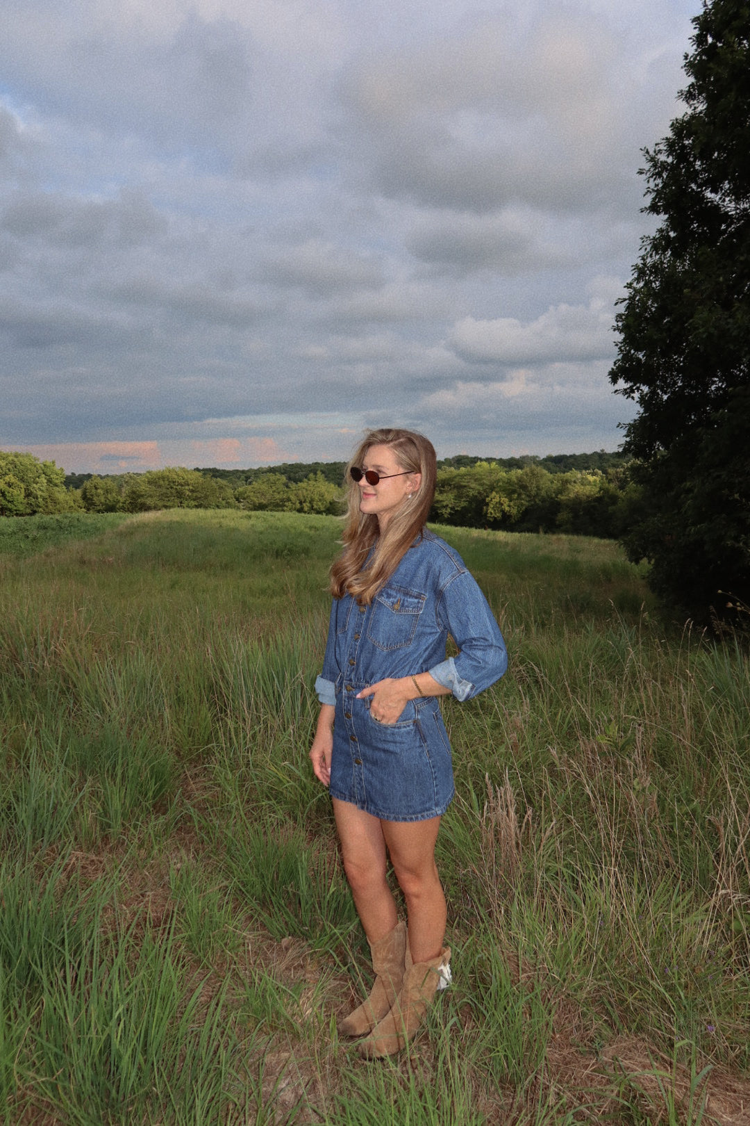 The Everly Denim Dress