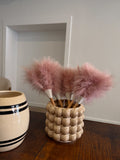 Cove Ostrich Feather Duster