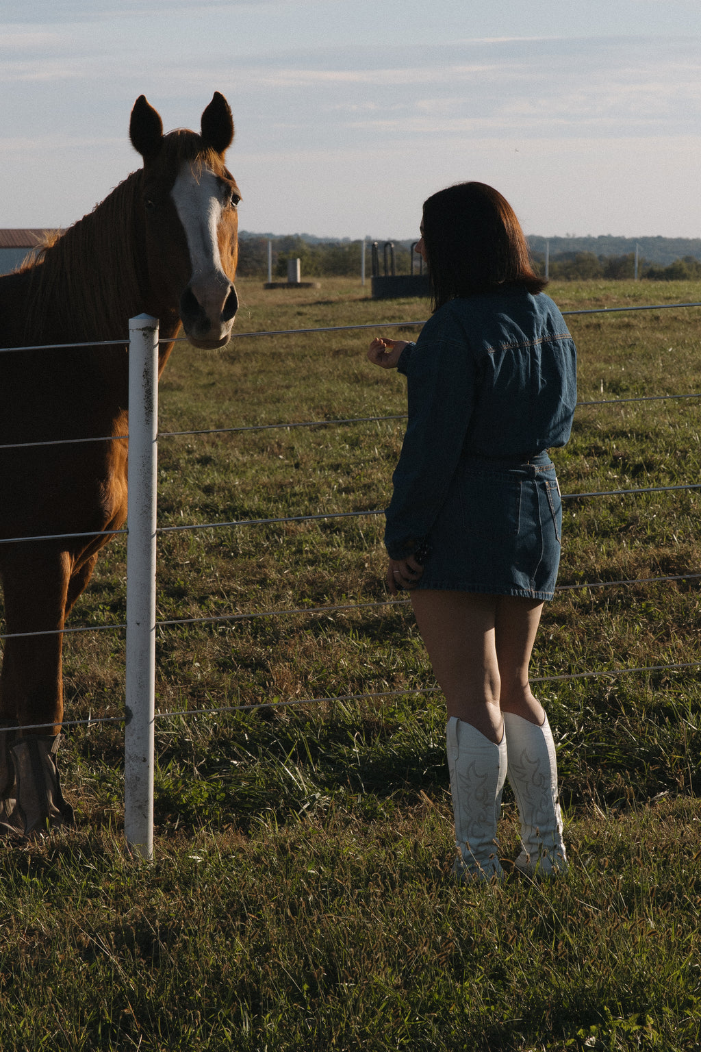 The Everly Denim Dress
