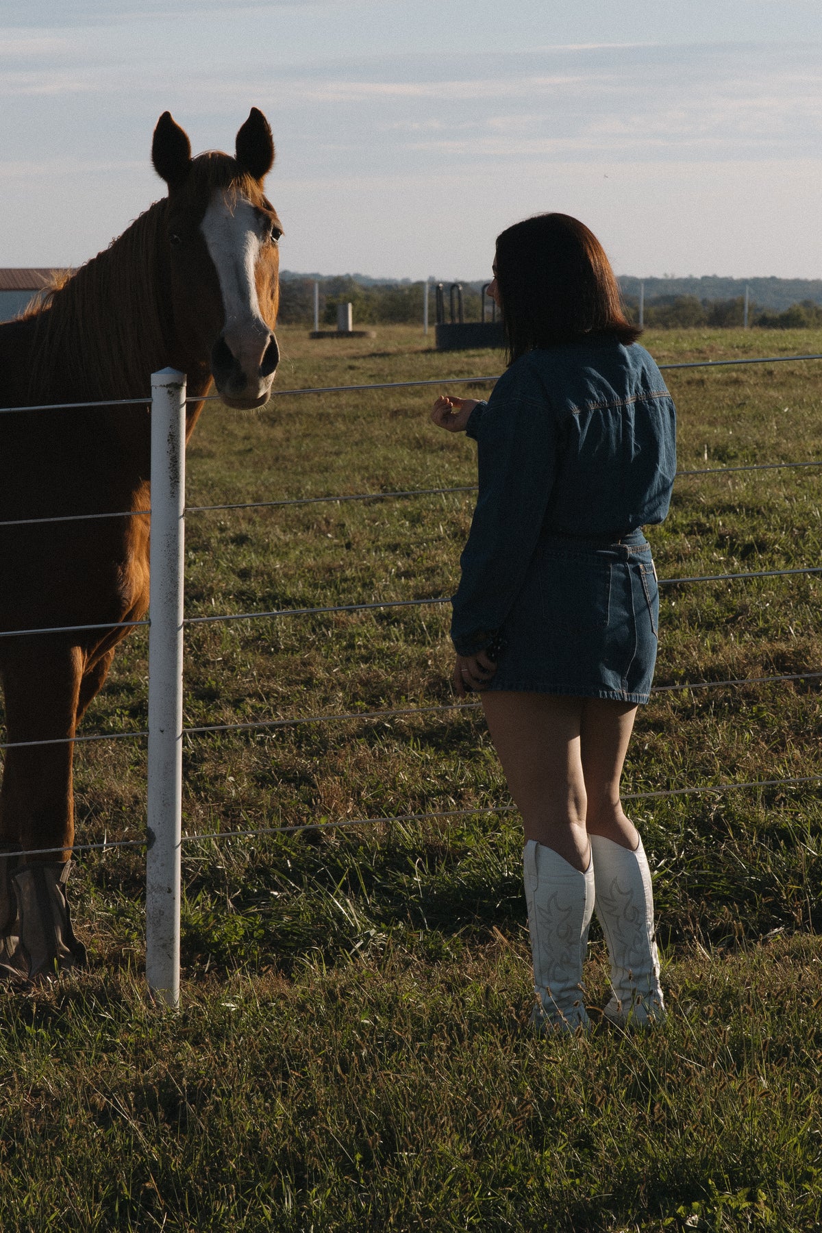 The Everly Denim Dress