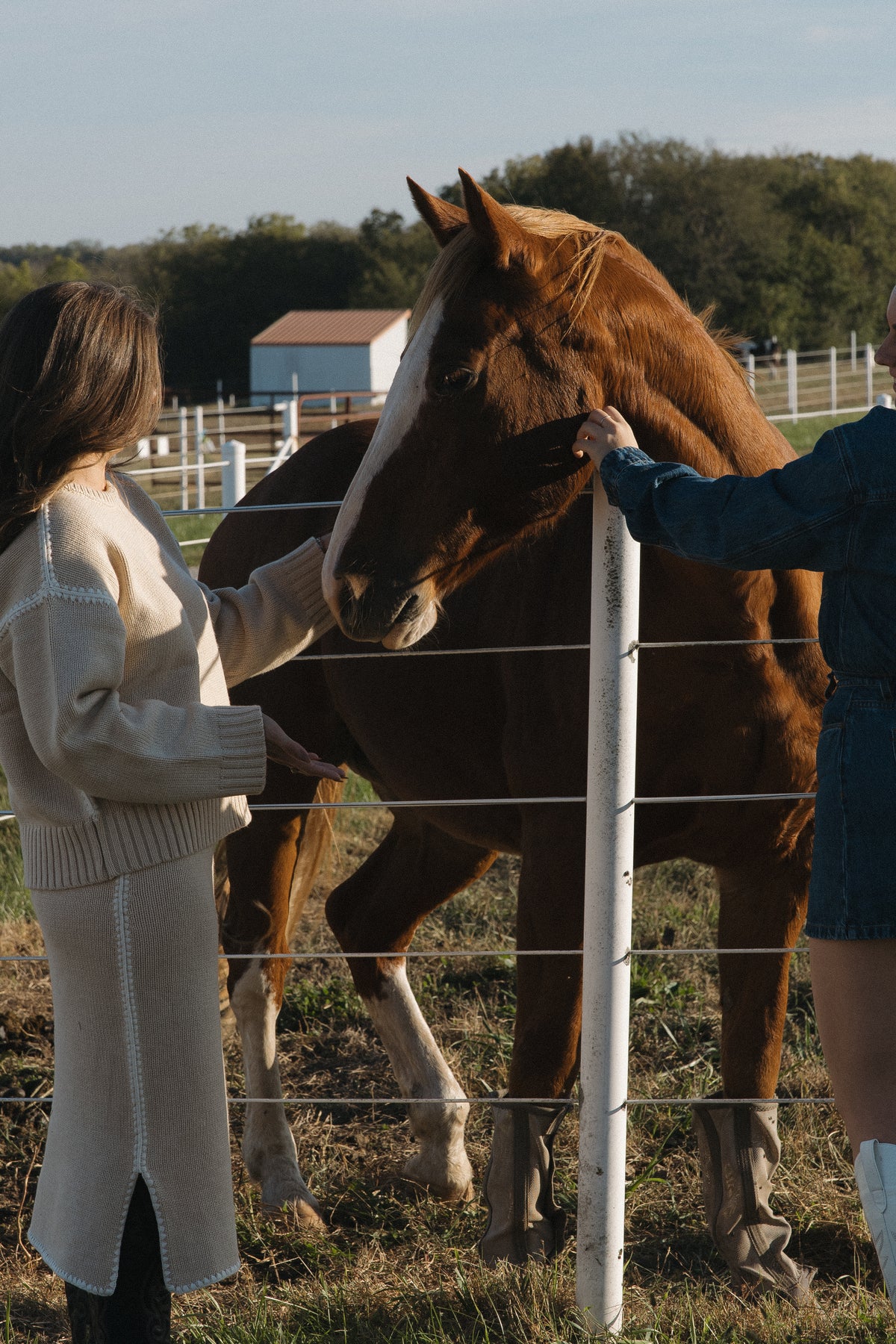Chantal Sweater in Taupe