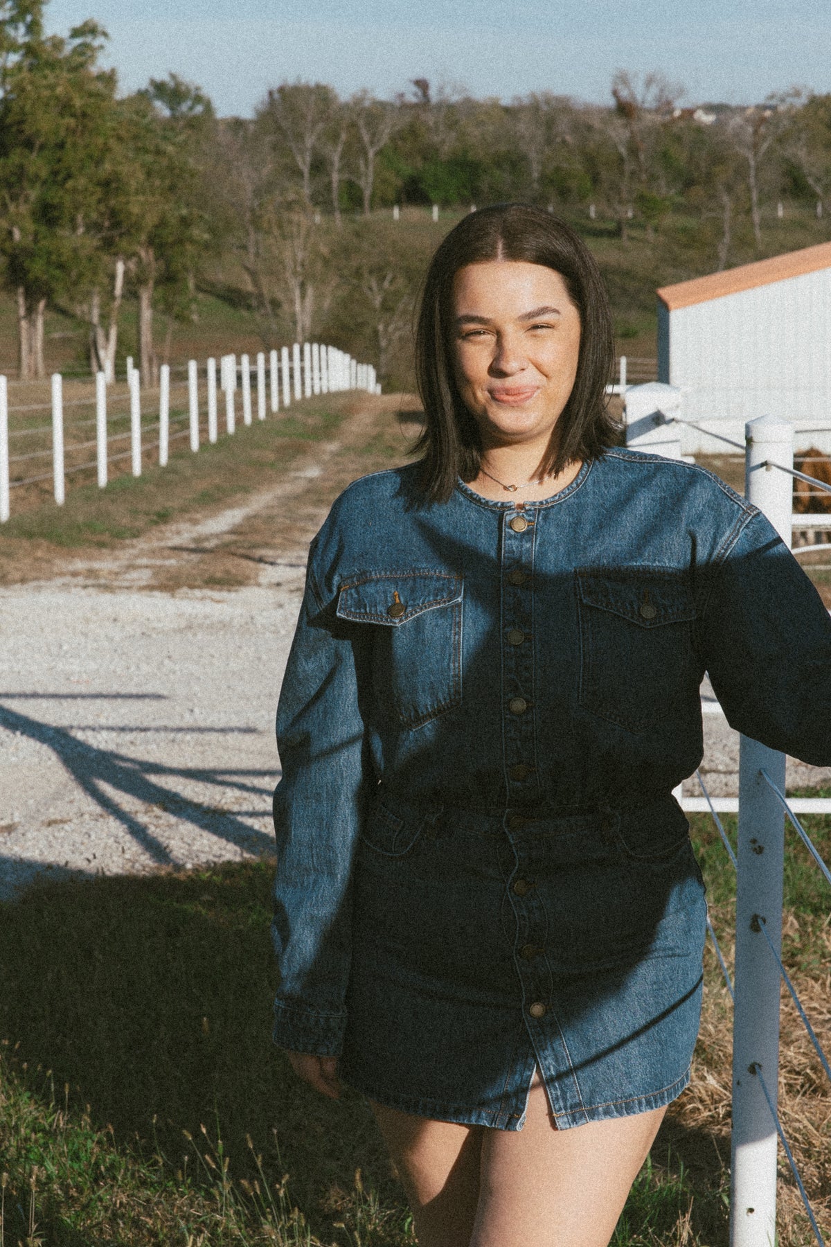 The Everly Denim Dress