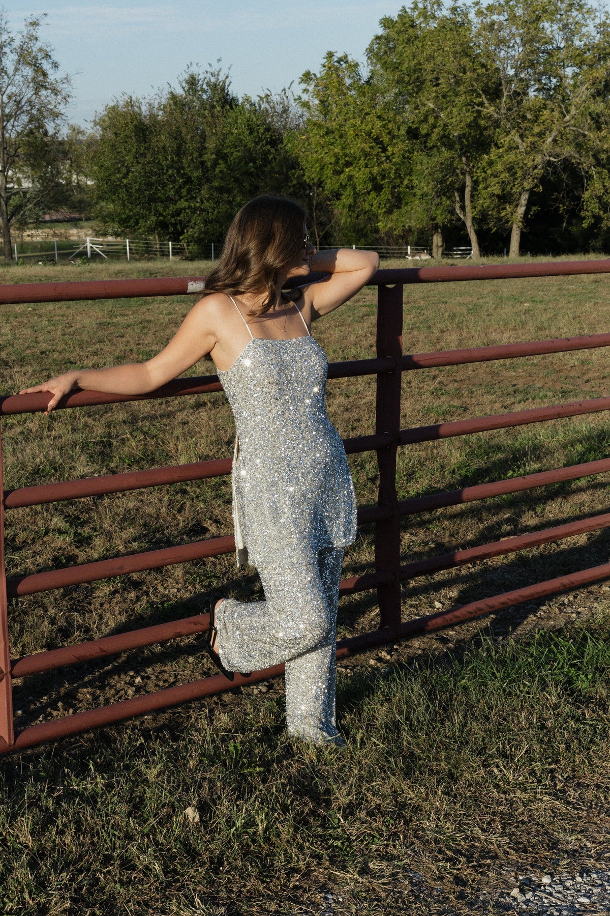 Lelani Sequin Top in Silver