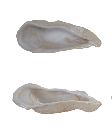 Seaside Stoneware Oyster Dish