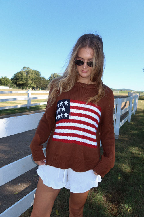 American Honey Sweater in Brown