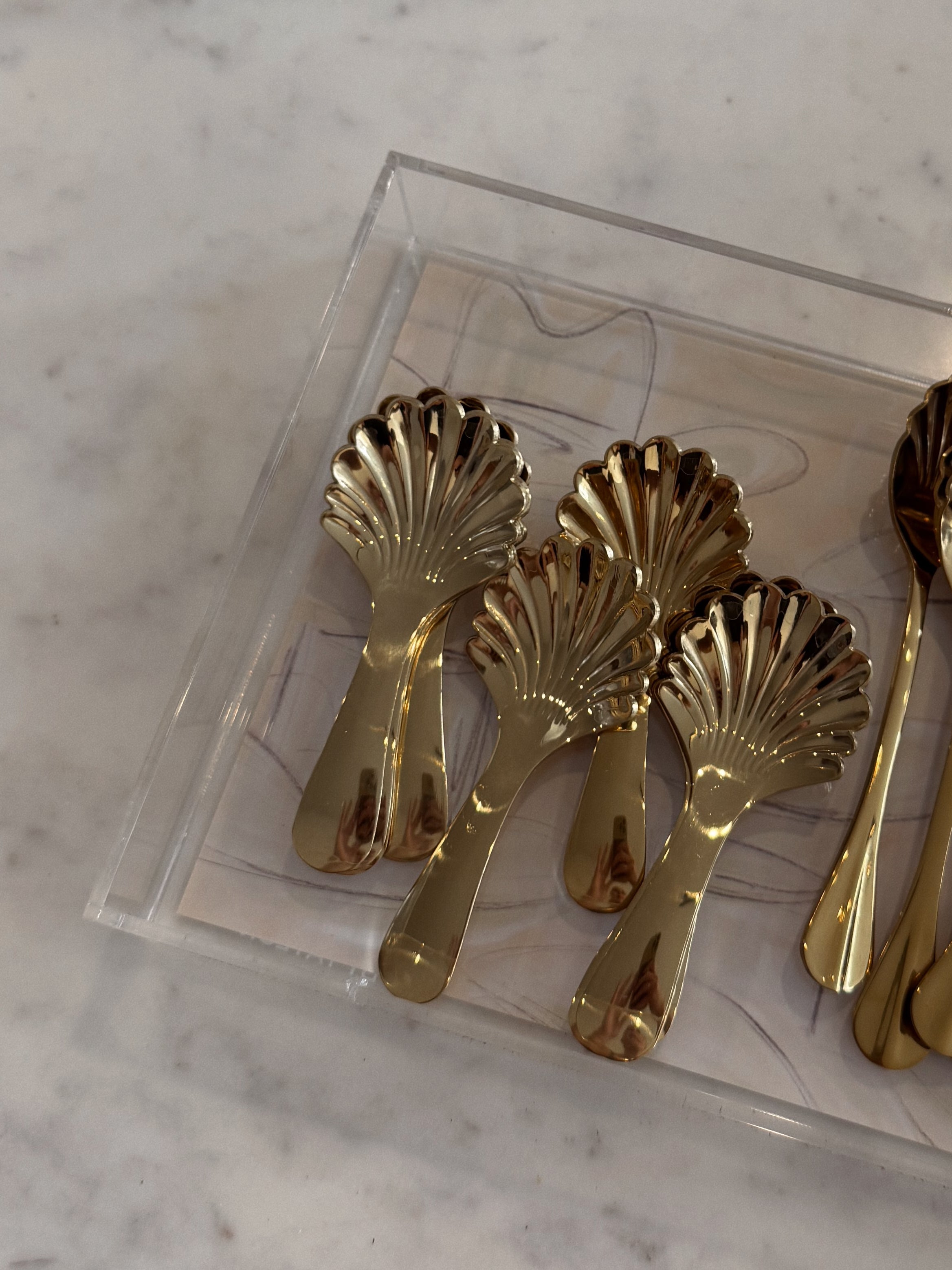 Levi Stainless Steel Spoon