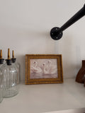 Vintage Swan Framed Print