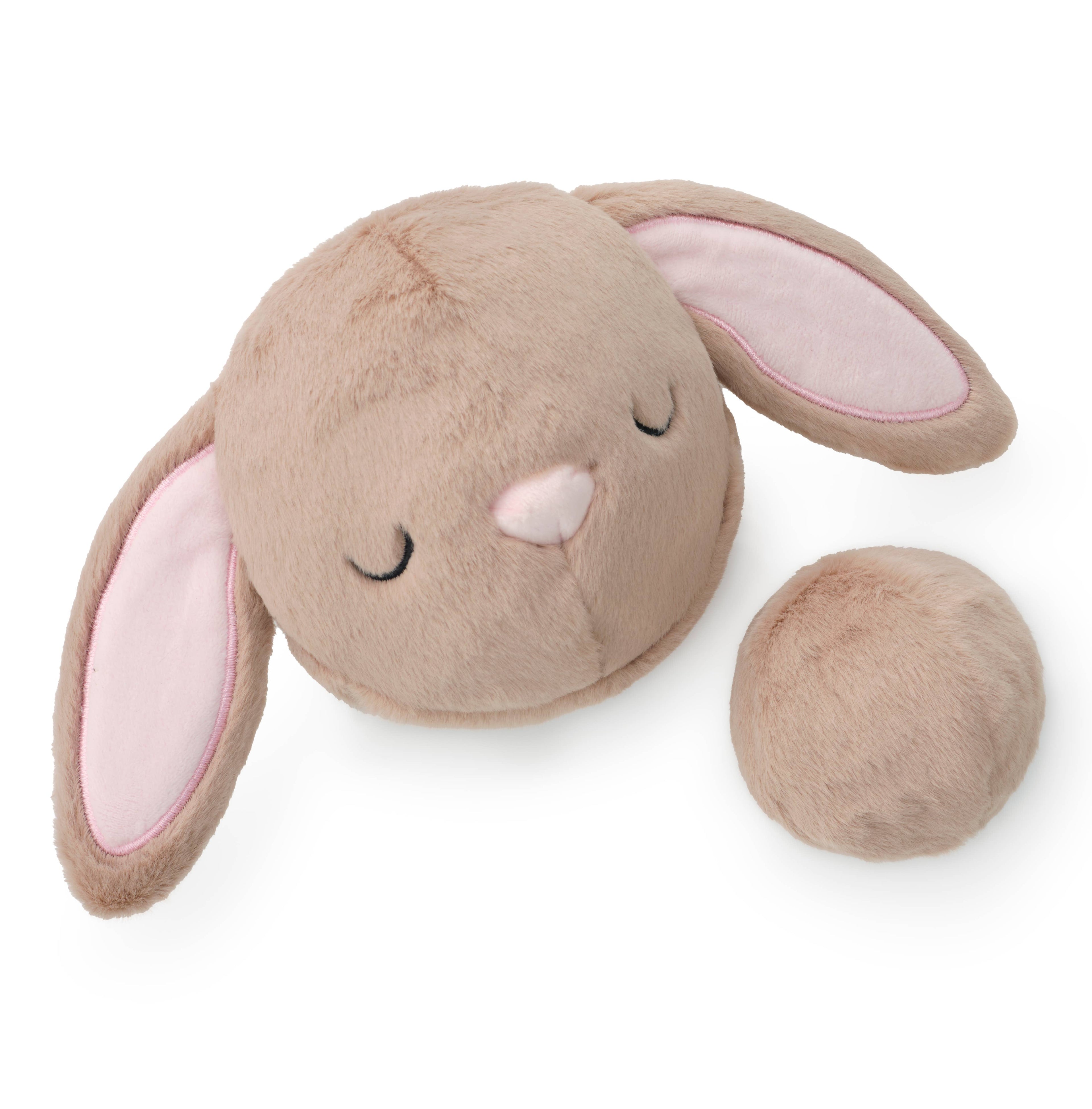Bunny Bounce Dog Toy