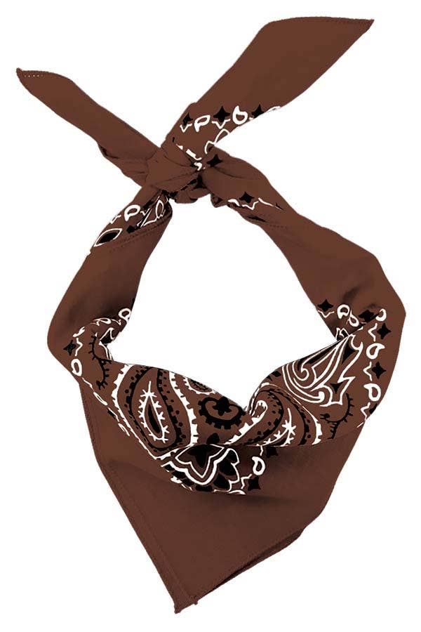 Cocoa Paisley Embroidered Bandana