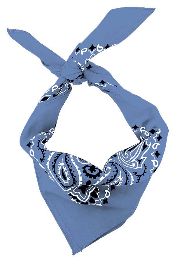 Chambray Paisley Embroidered Bandana